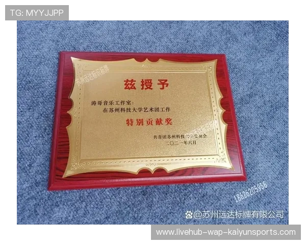 奖牌设计体现公平竞争精神，奖牌设计方案