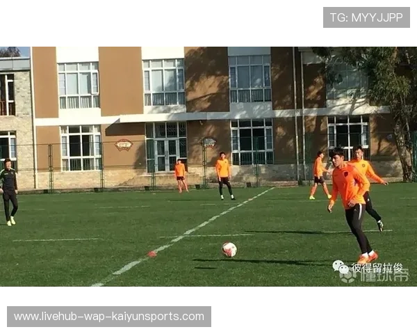 俱乐部在球队管理上引入体育总监制度，体育俱乐部管理的主要内容包括哪些方面