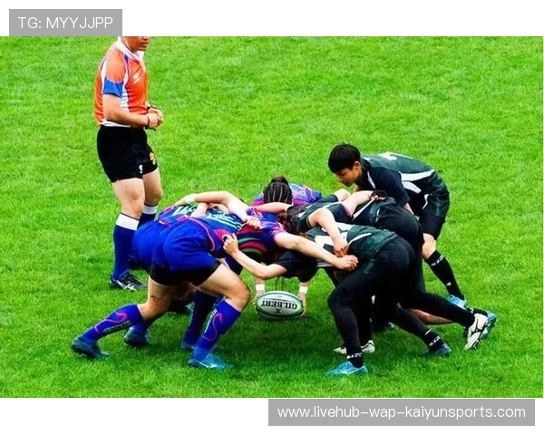 法国七人制橄榄球明星球员技术全面，法国橄榄球国家队